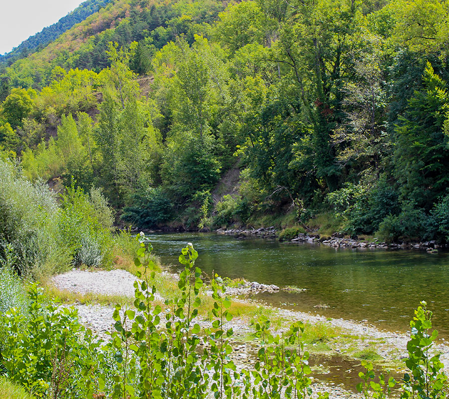 camping bord de riviere aveyron